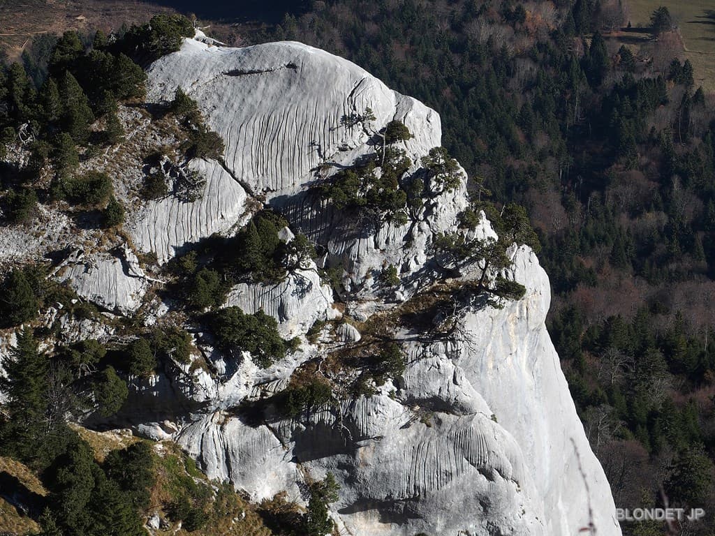 Les Griffes de l'Ours