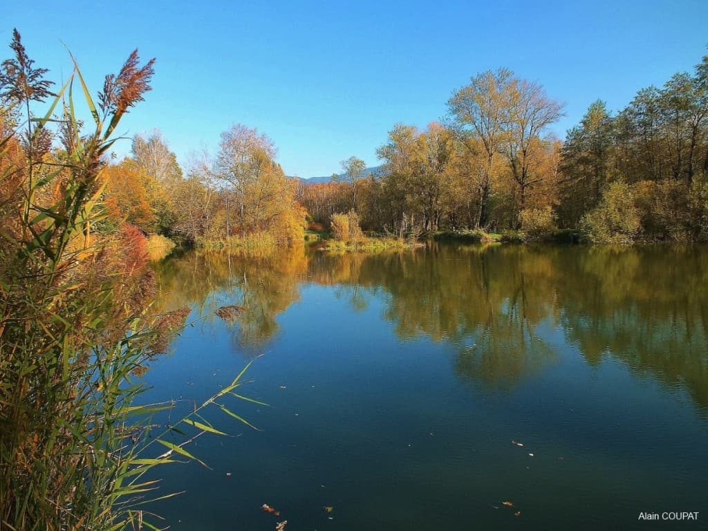 Marais de Montfort