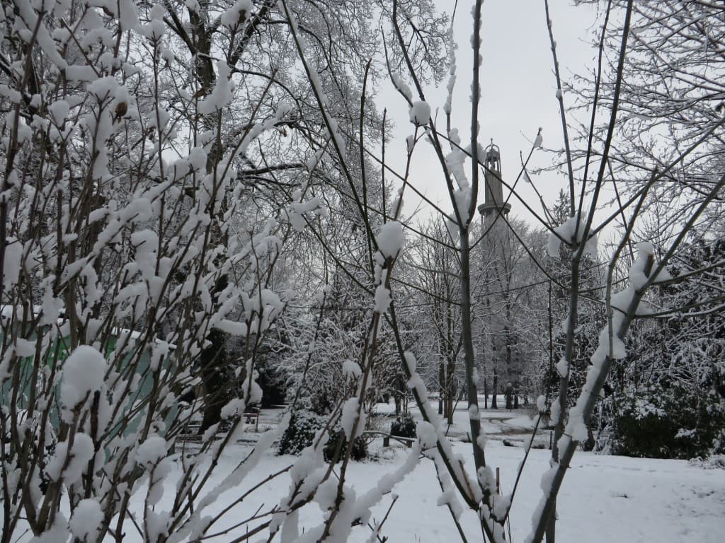 parc mistral 