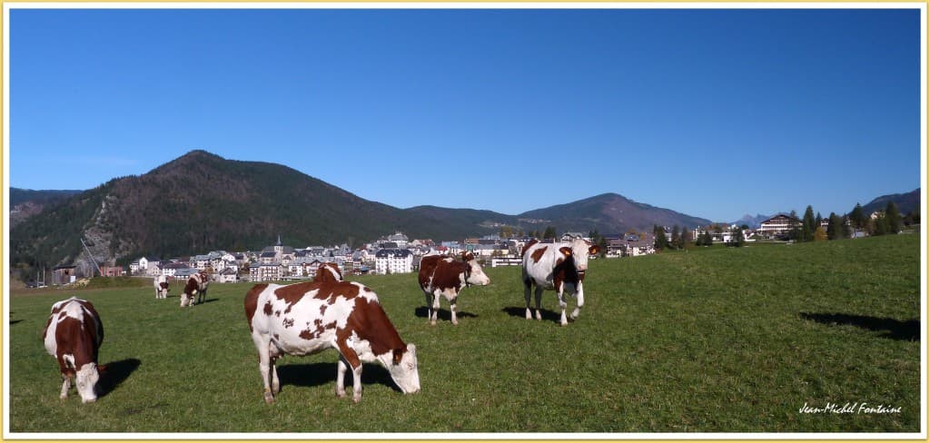 pastorale d'automne
