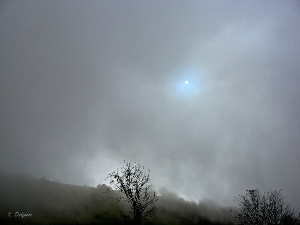 Percée dans le brouillard matinale 