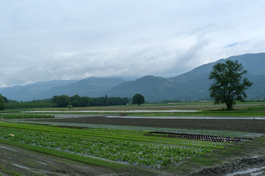 plaine des maraichers