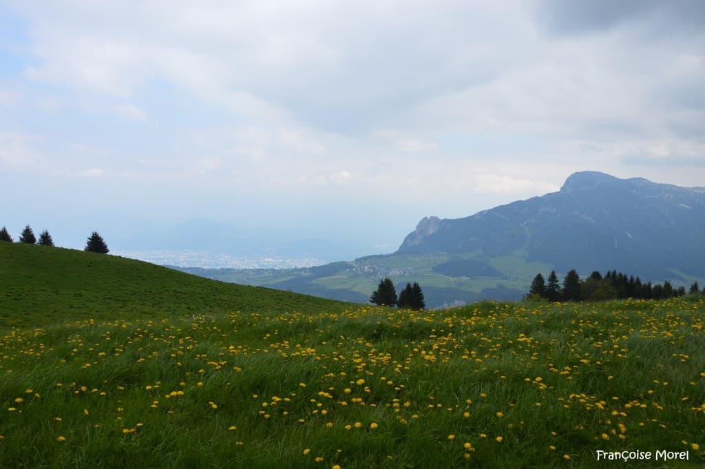 Plateau de la Molière