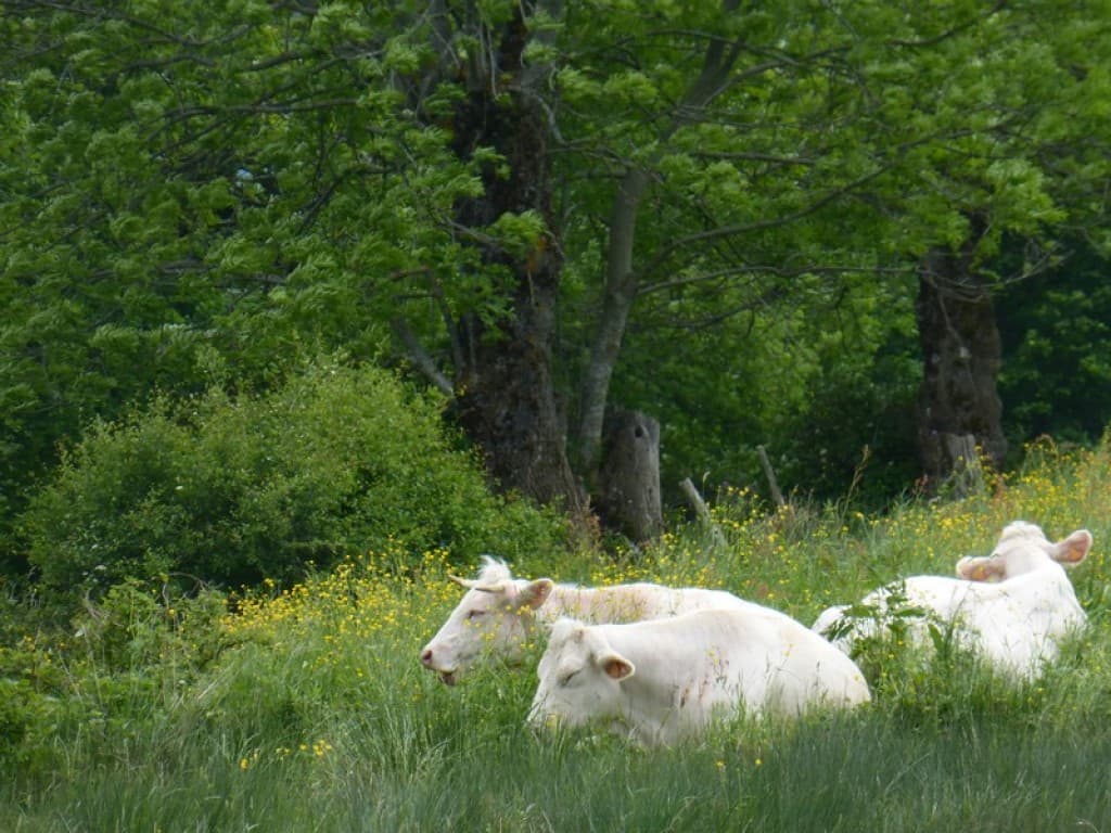 printemps paisible en matheysine