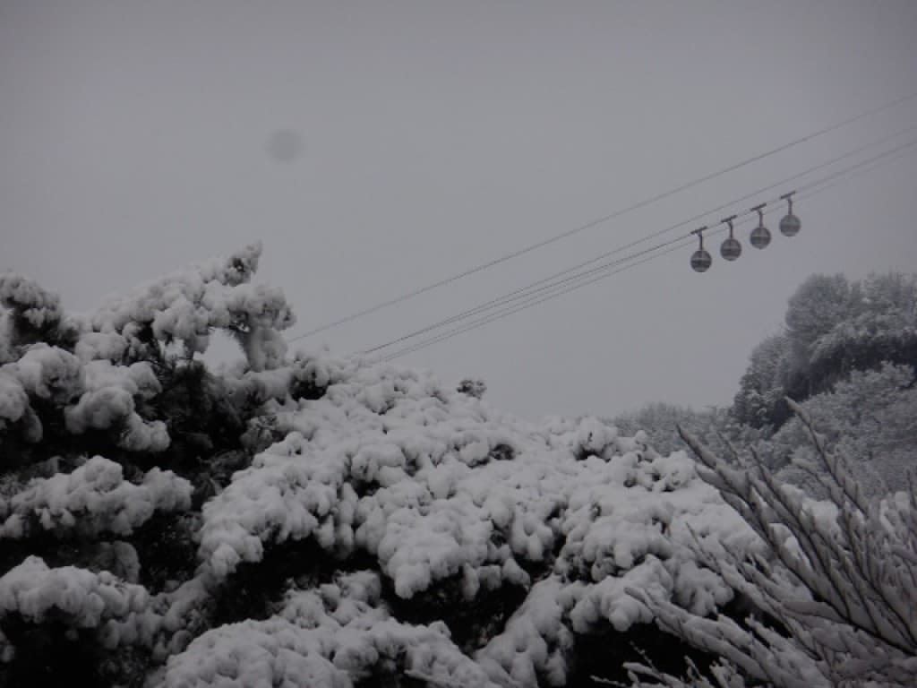 Sous la neige
