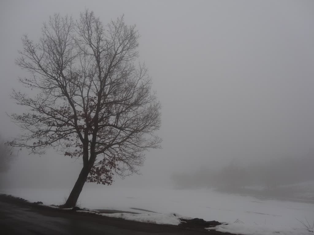 Trièves sous la couverture !
