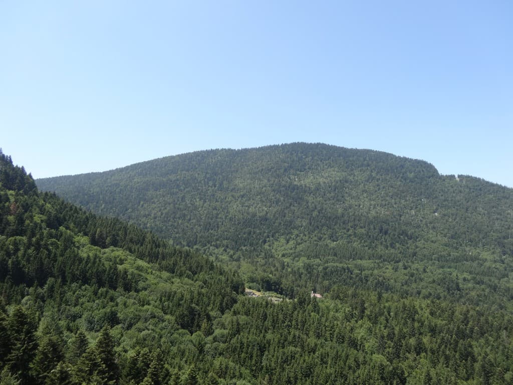 Valchevrière dans le vert