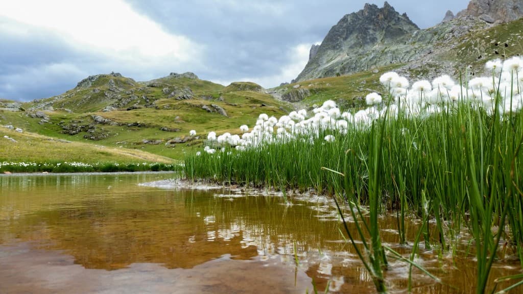 vallée de la Clarée 