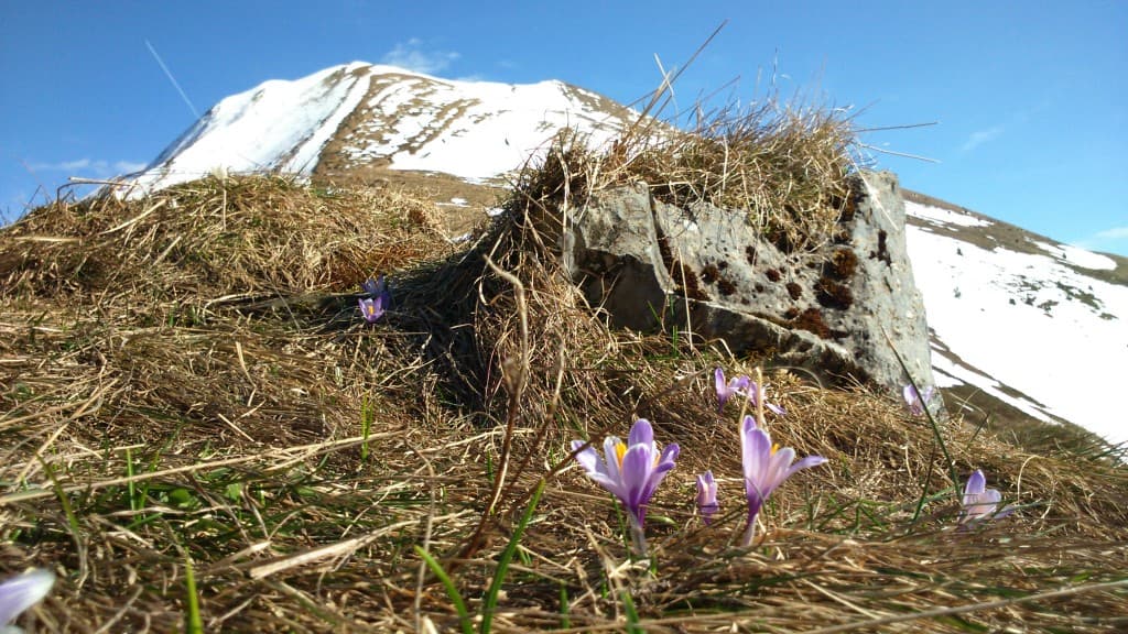 Vue sur le Grand Serre
