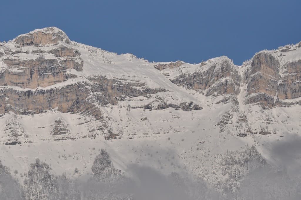 Chartreuse Verte ou Blanche !!!