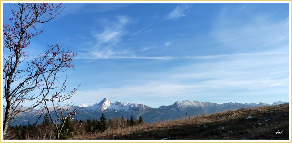ciel voilé par cirrostratus