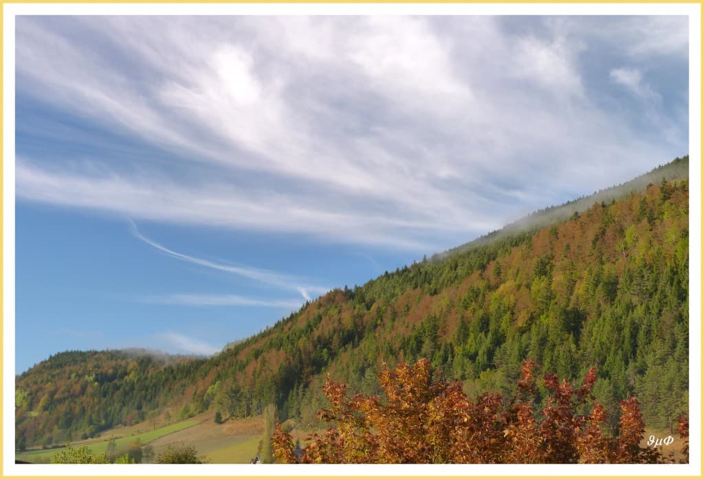 cirrus