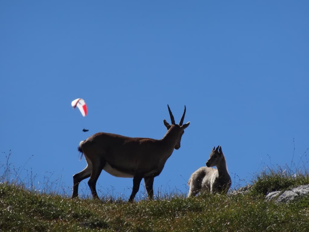 col des  soeurs
