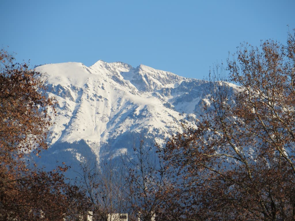 dans la campagne de charnècles (isere)