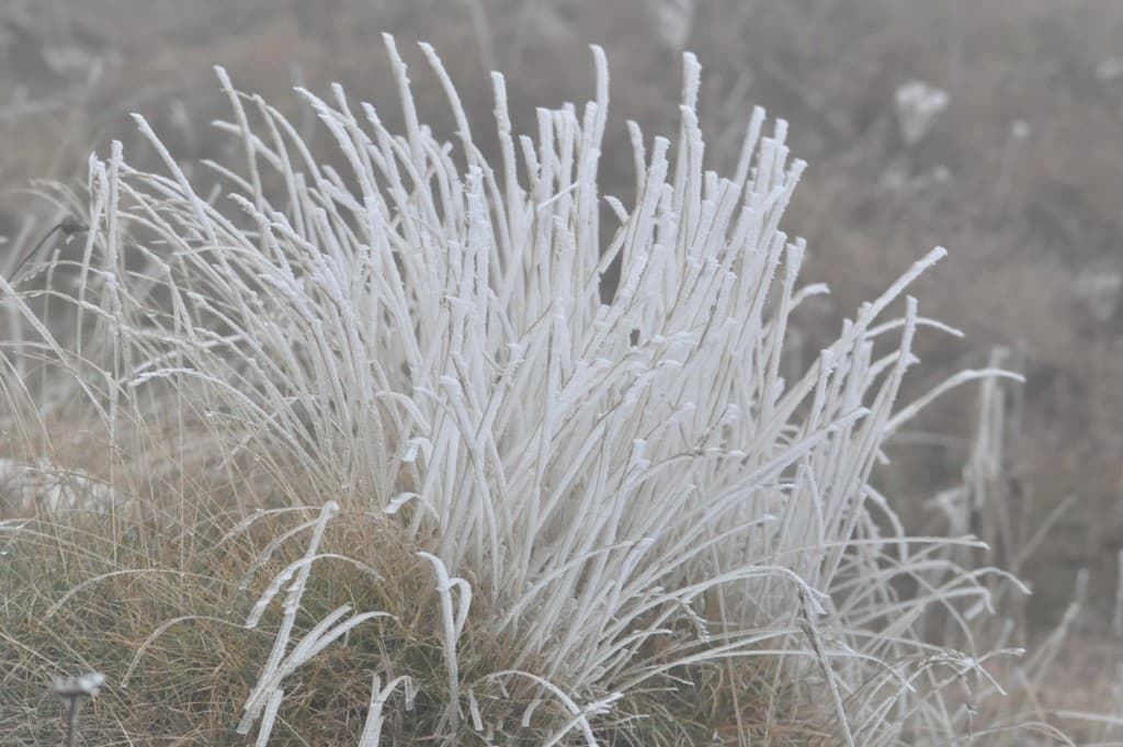 Givre d'altitude MG