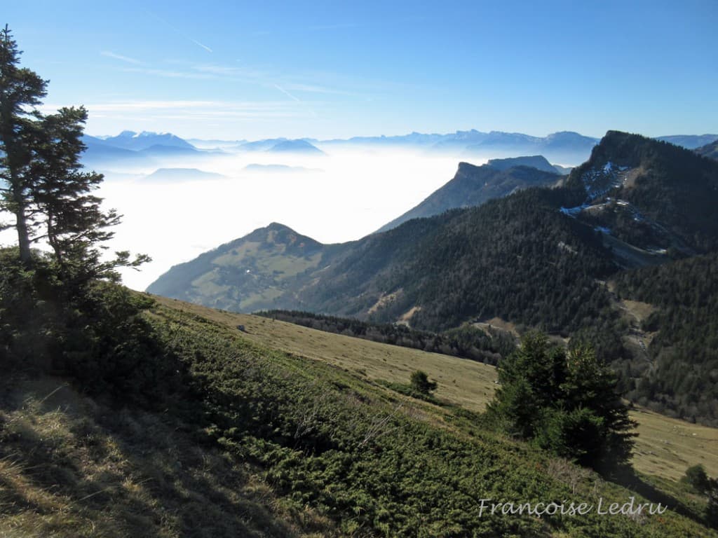 Inversion de température