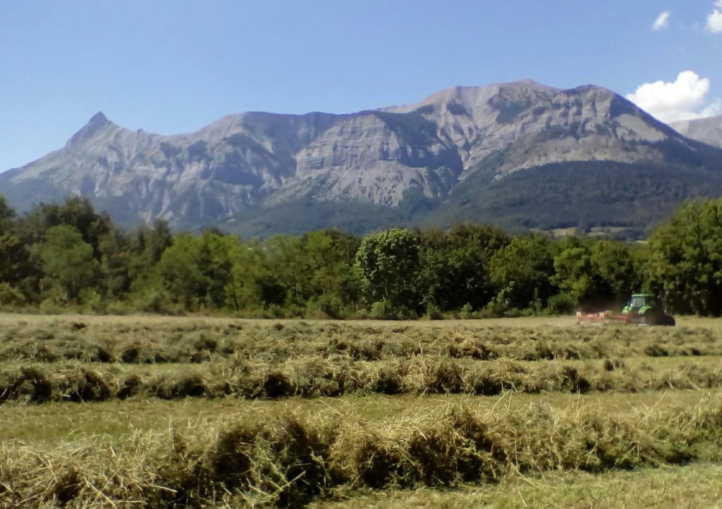 La fenaison