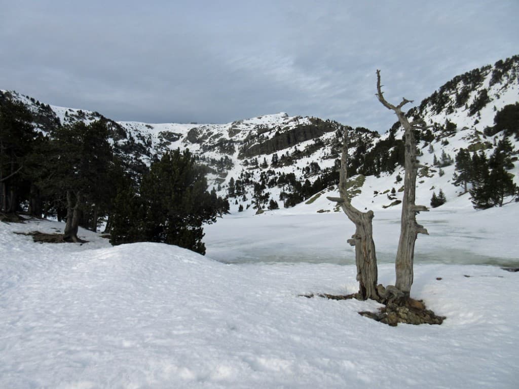 Lac Achard