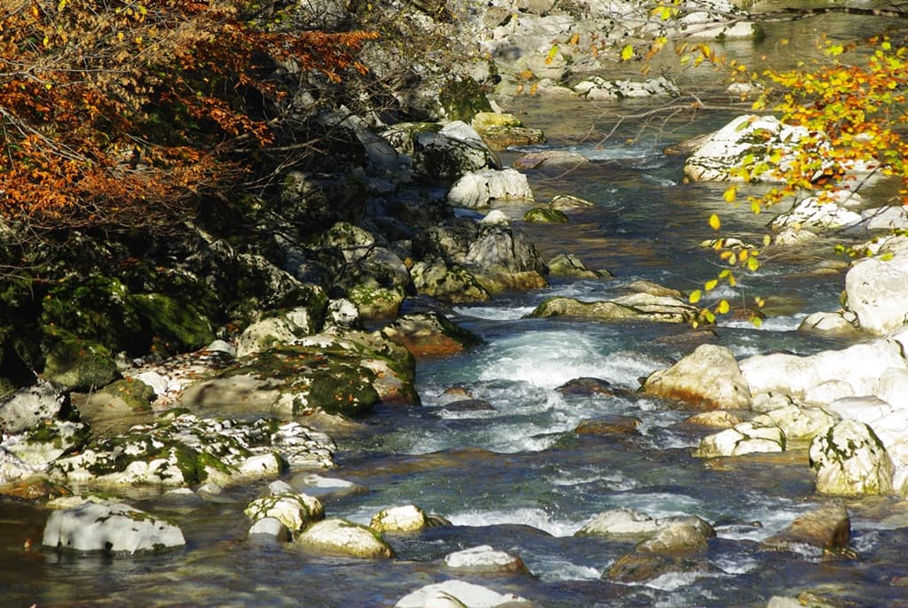 Le Guiers mort aux couleurs d'automne