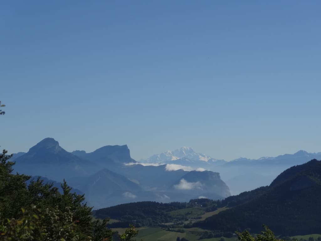 Le Mont Blanc, La Chartreuse