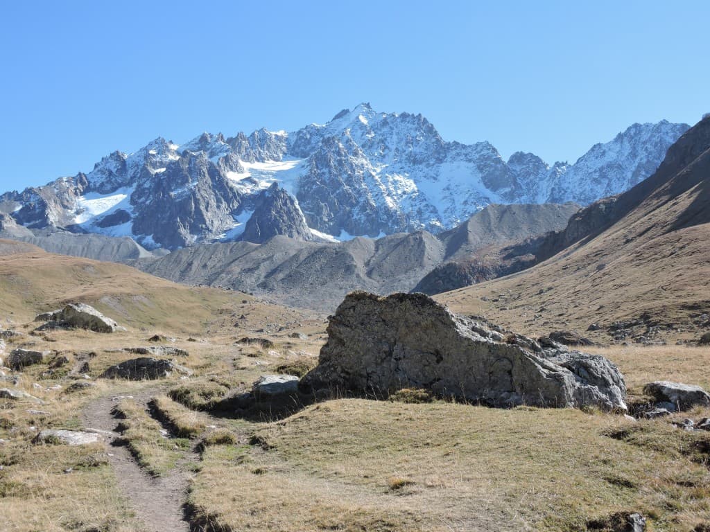 Les Agneaux