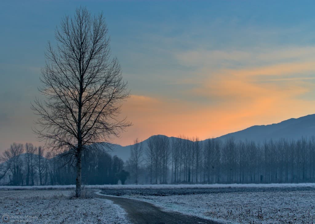 Matin froid en fond de vallée