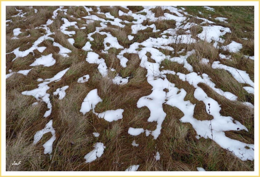 neige en taches de léopard