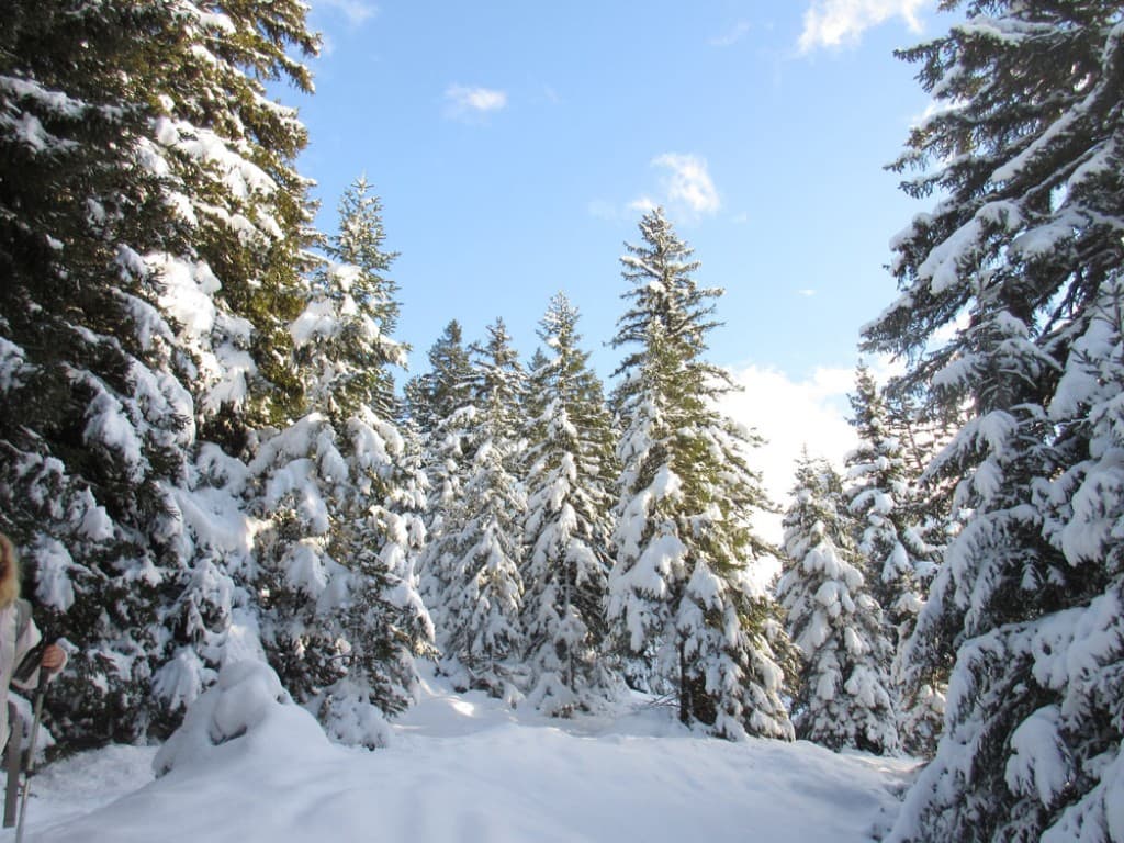 Neige fraîche sur l'Arselle