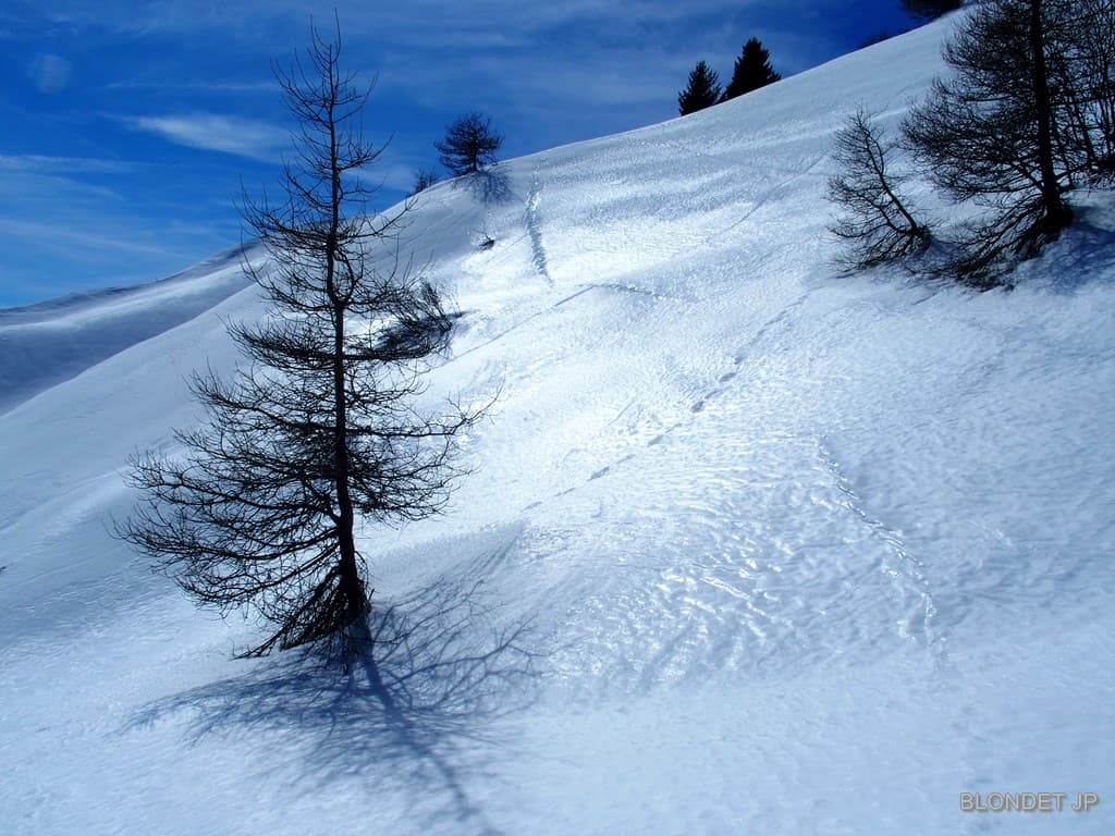 Neige gelée