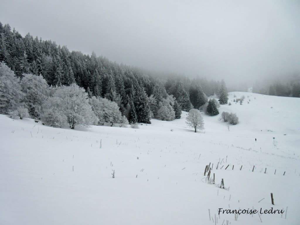 Paysage en noir et blanc