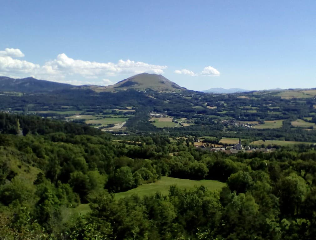 Paysage verdoyant