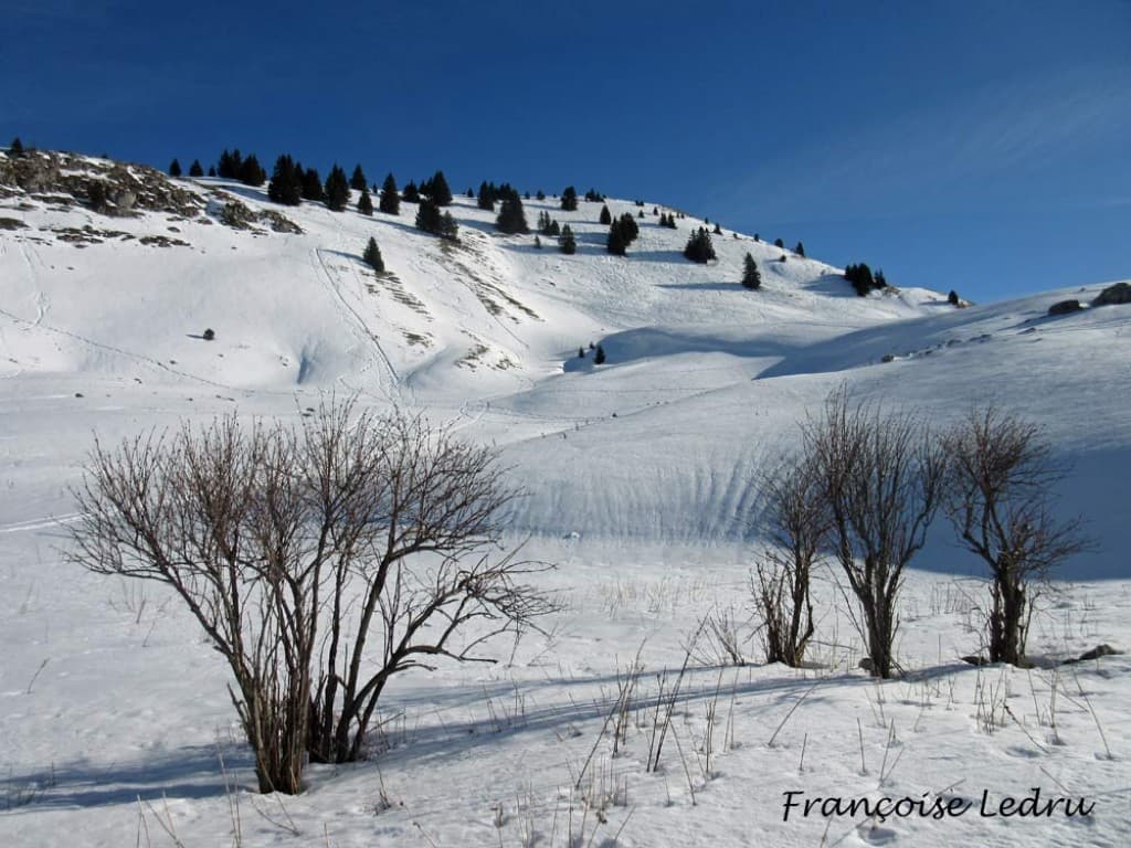 Pravouta vu côté Nord