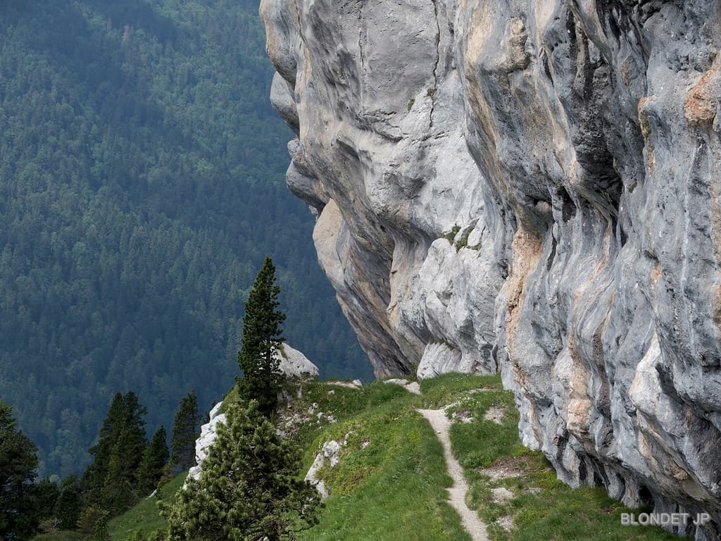 Sangle de la Barrère