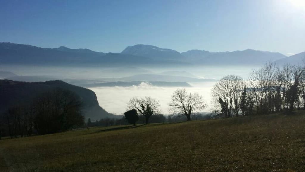 une belle journée de décembre