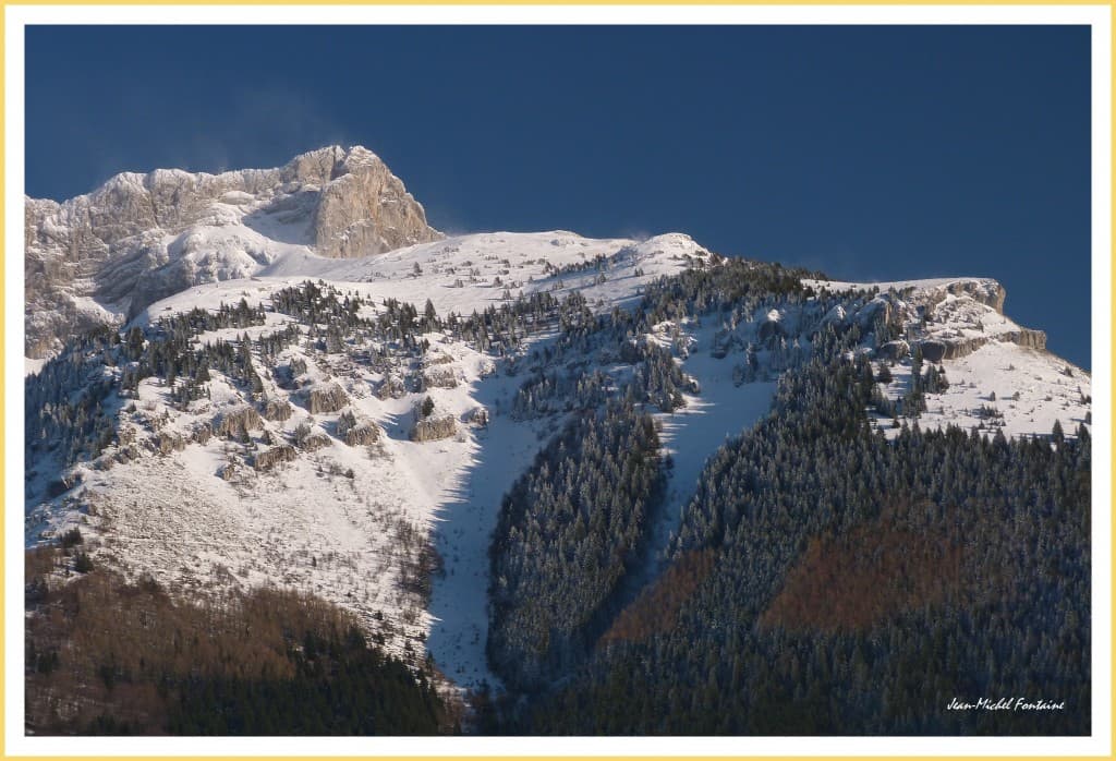 vent en altitude et sapins biens givrés