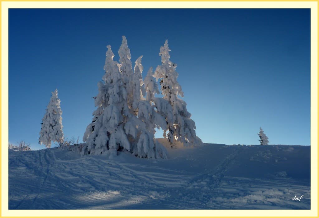 ambiance nordique sur les pistes