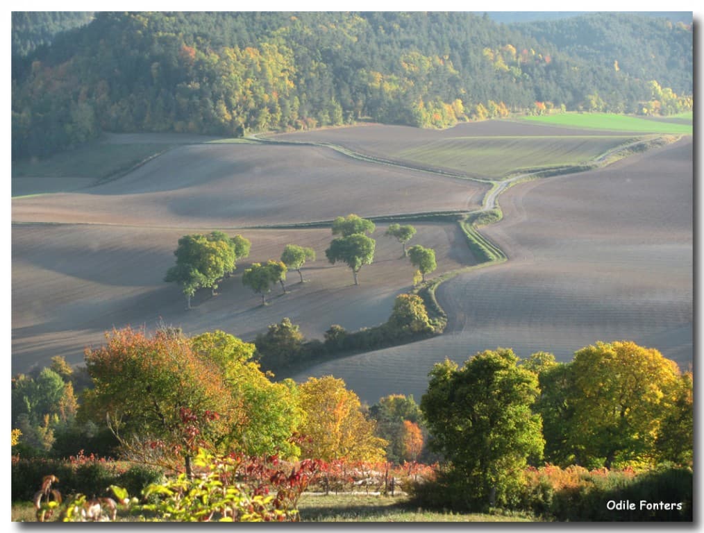 Automne en Trièves