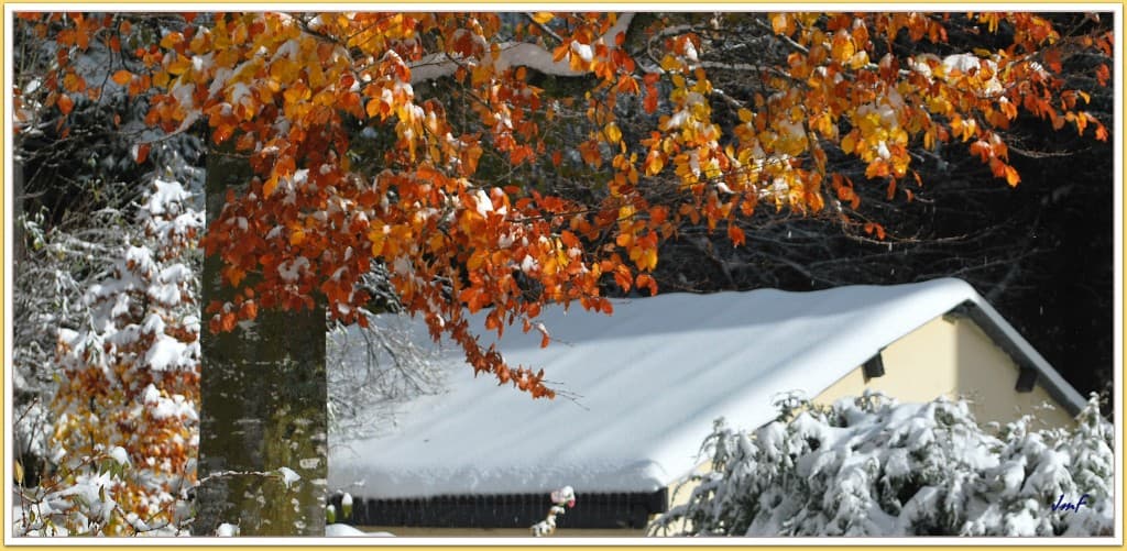 automne hiver