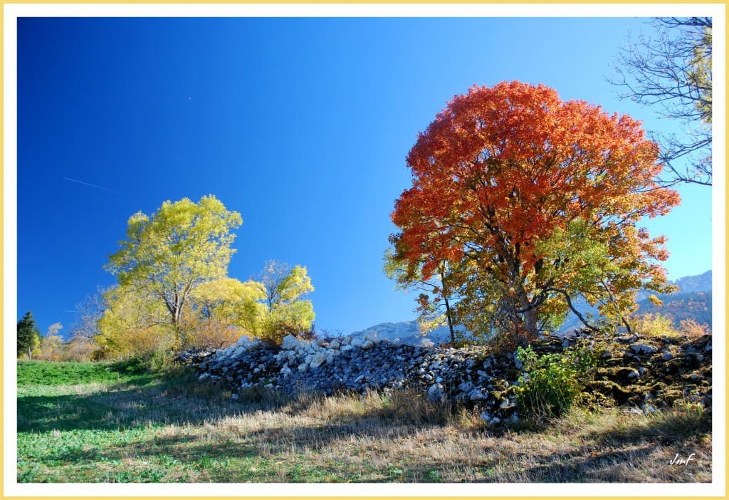 automne magnifique en Vercors