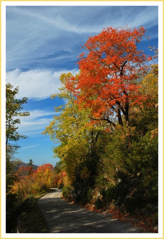 bel automne