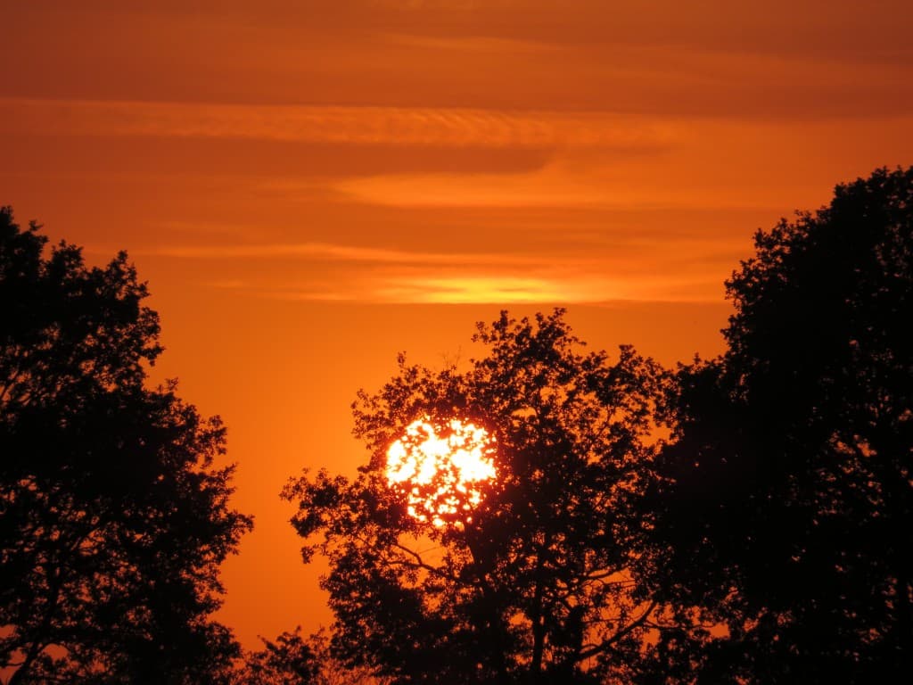 canicule et soleil couchant