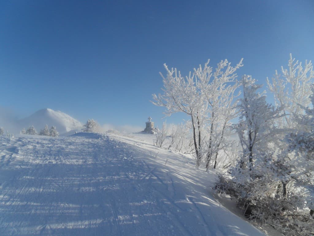 CHARTREUSE LE CHARMANT SOM