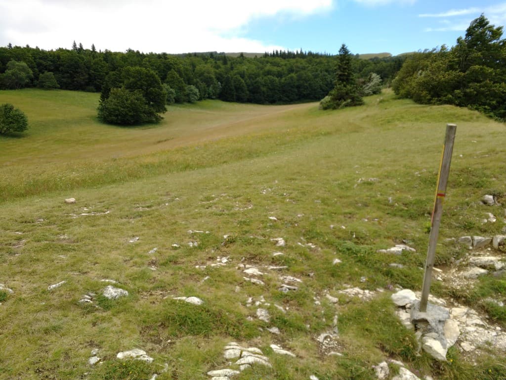 Col de Vassieux