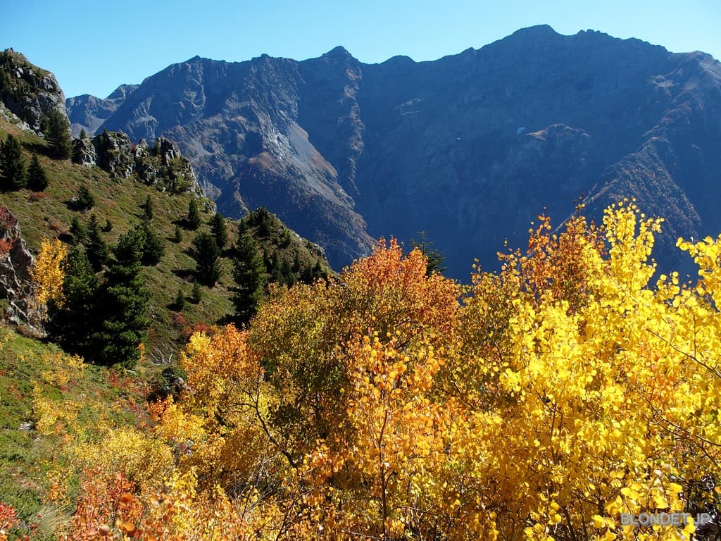 Couleurs d'automne