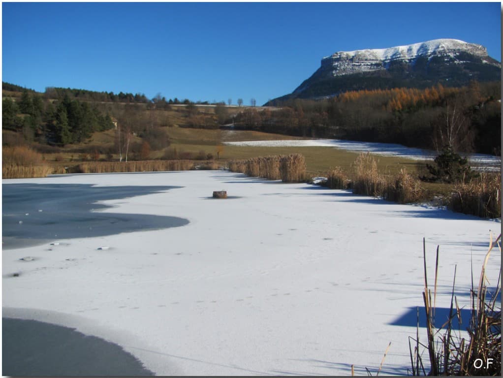 Etang du Marais en tenue d'hiver 