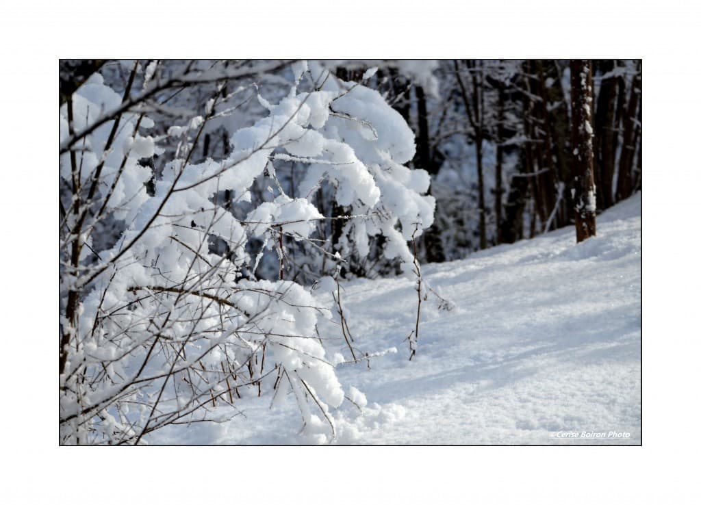 Froid.