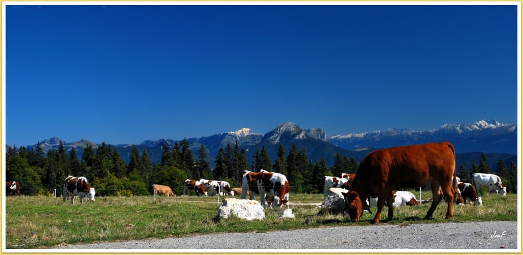 Grand Bleu sur les Alpes