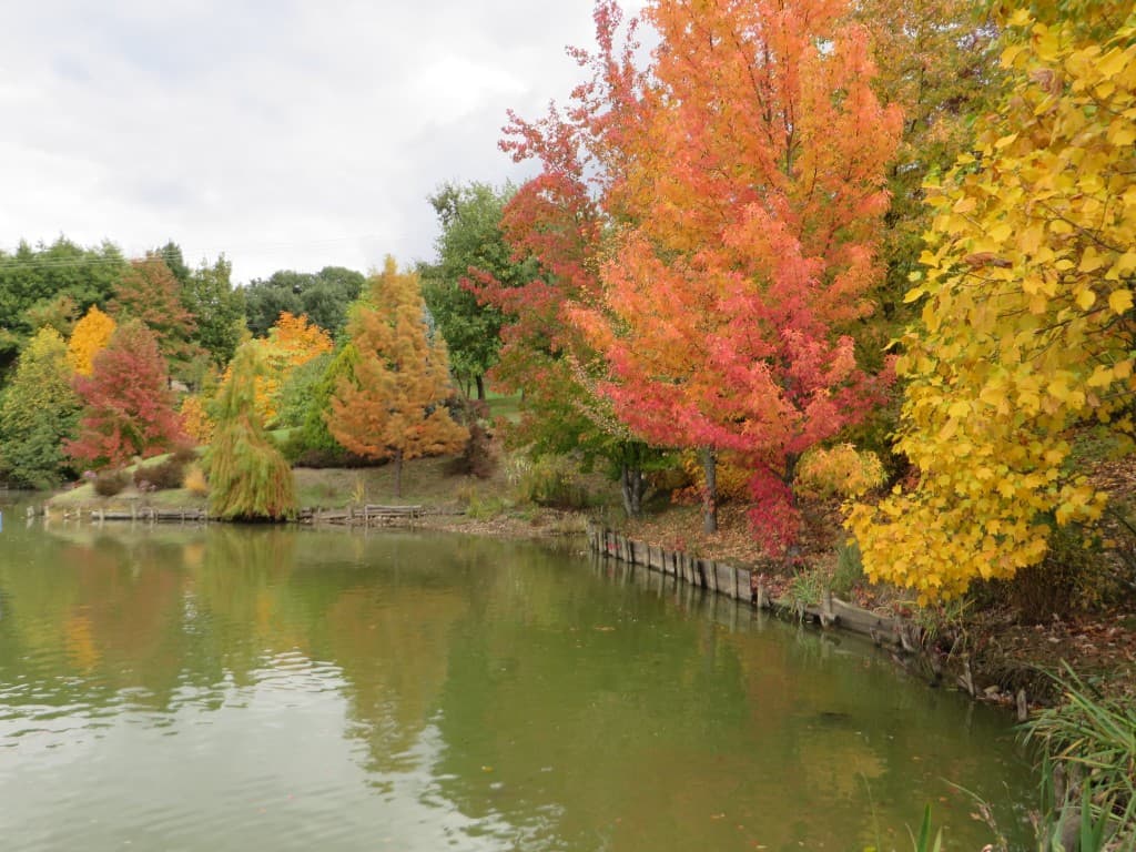 jardin du bois marquis
