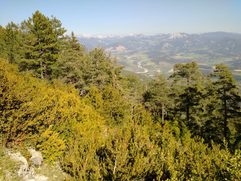 La vallée de la Drôme