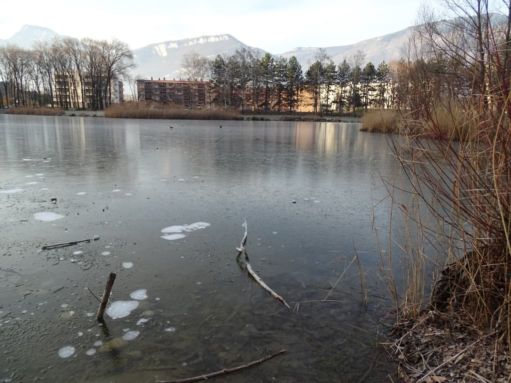 lac gelé